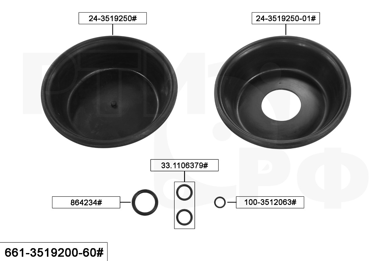 661-3519200-60# Ремкомплект энергоаккумулятора 24/24 ЕВРО (для КЗТАА) (5 наим./6 шт.), РТИ